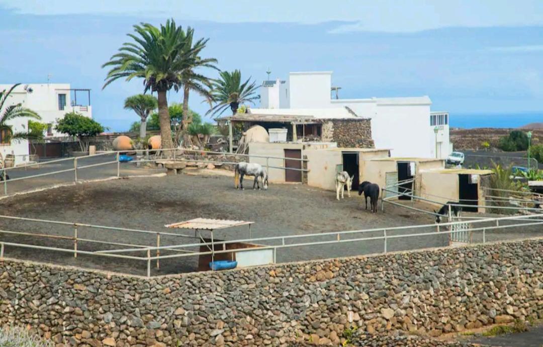 Tinguaton Casa Rural Yeyo En El Crater Del Volcan מראה חיצוני תמונה